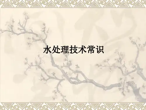 水处理技术常识ppt课件