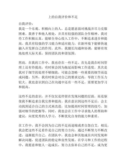 上的自我评价和不足