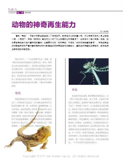 动物的神奇再生能力