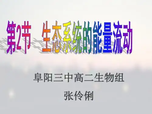 生态系统的能量流动