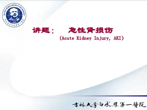 内科学教学课件：急性肾损伤