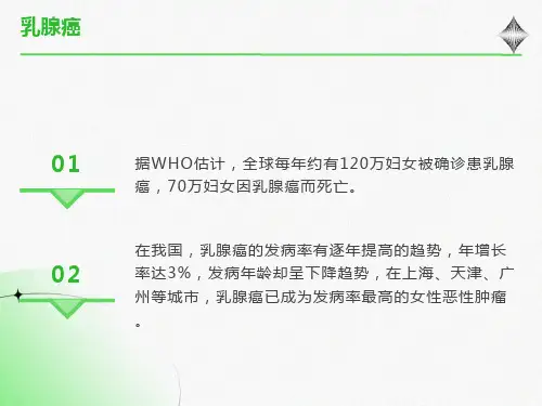 乳腺癌超声检查