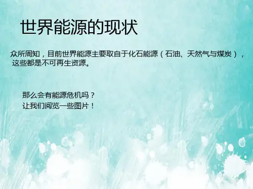 开发新能源简析PPT课件讲义