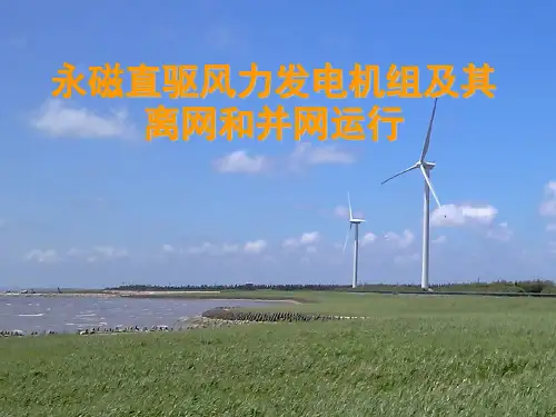 永磁直驱风力发电机组及其离网和并网运行