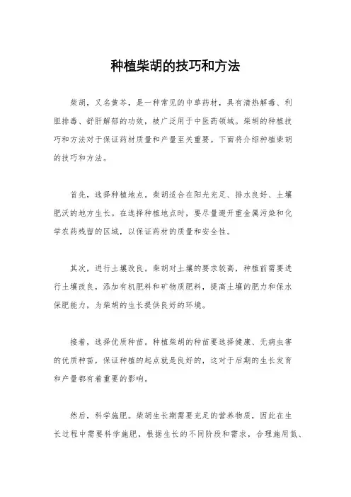 种植柴胡的技巧和方法