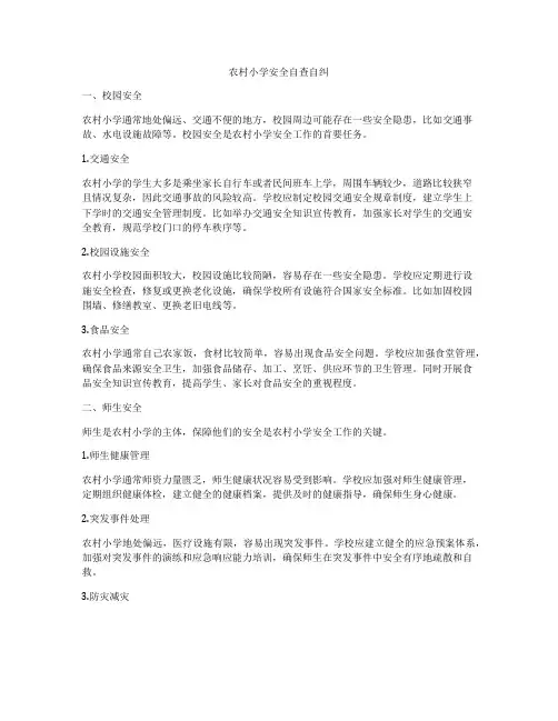 农村小学安全自查自纠