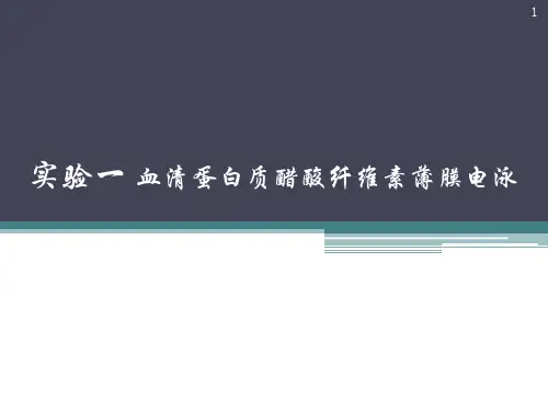 血清蛋白质醋酸纤维素薄膜电泳ppt课件
