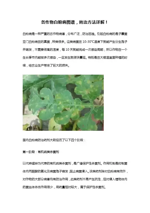 各作物白粉病图谱,防治方法详解!