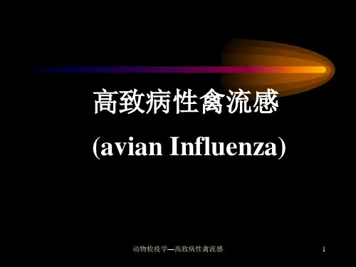 动物检疫学—高致病性禽流感ppt课件