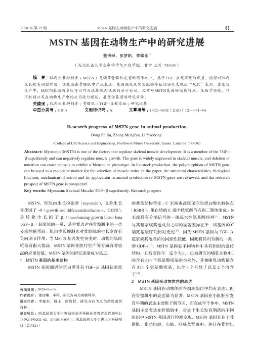MSTN基因在动物生产中的研究进展