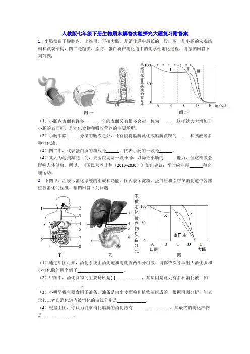 人教版七年级下册生物期末解答实验探究大题复习附答案