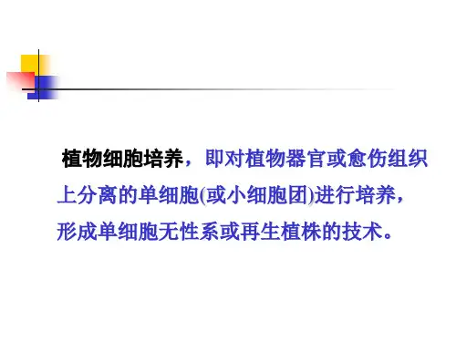植物细胞培养