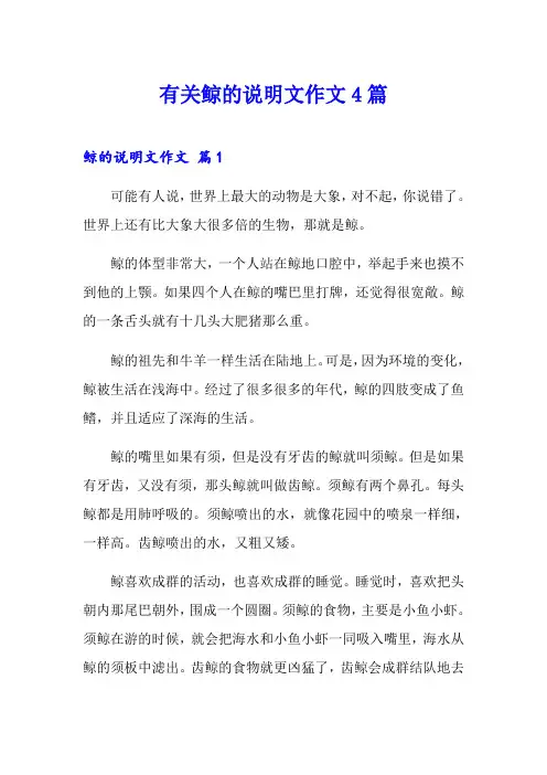 有关鲸的说明文作文4篇