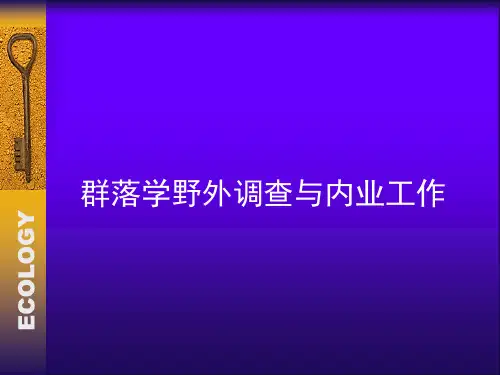 生态学野外实习(计算)