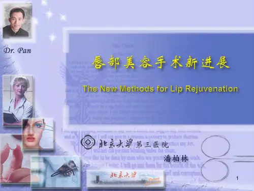 唇整形术式PPT参考课件