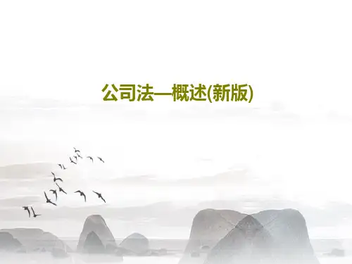 公司法—概述(新版)78页PPT