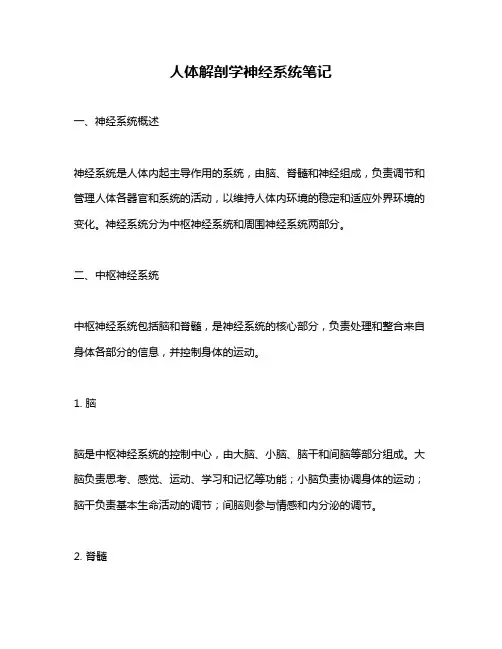 人体解剖学神经系统笔记
