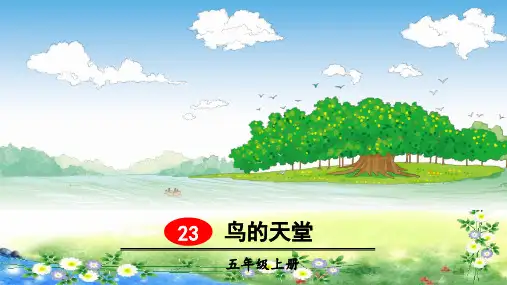 统编版五年级语文上册23《鸟的天堂》课件(共37张PPT)