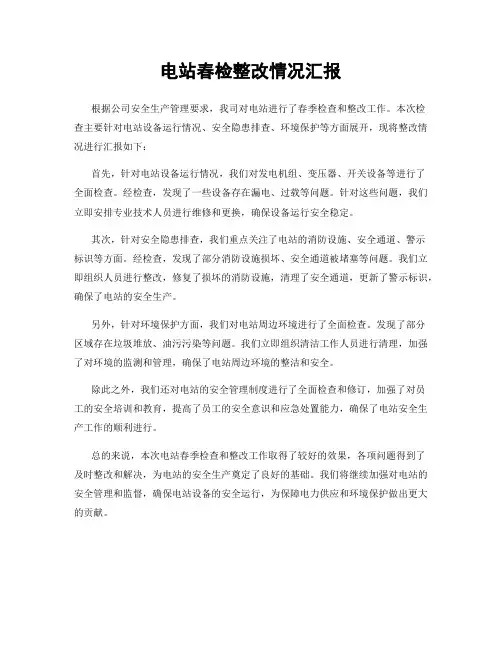 电站春检整改情况汇报