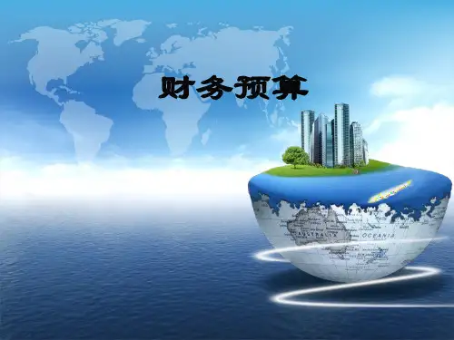 项目财务预算