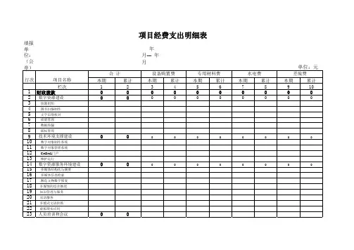 项目经费支出明细表模板
