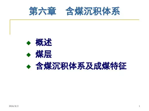 6-含煤沉积体系