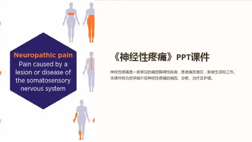 《神经性疼痛》课件