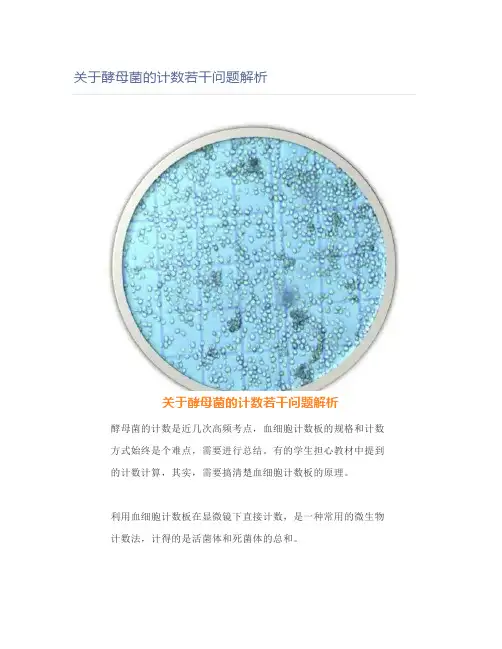 关于酵母菌的计数若干问题解析