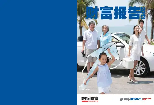 2013胡润财富报告