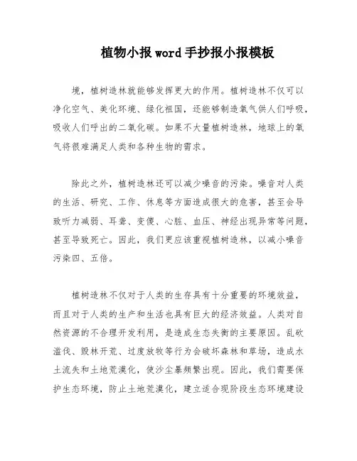 植物小报word手抄报小报模板