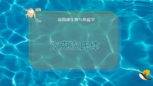 立克次氏体