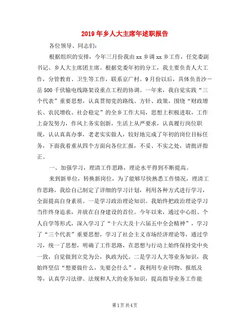 2019年乡人大主席年述职报告