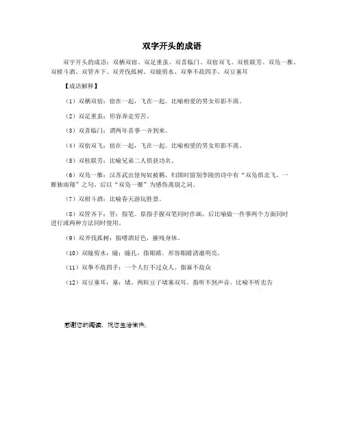 双字开头的成语