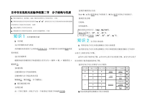 高考化学讲义 分子结构与性质(含解析)3