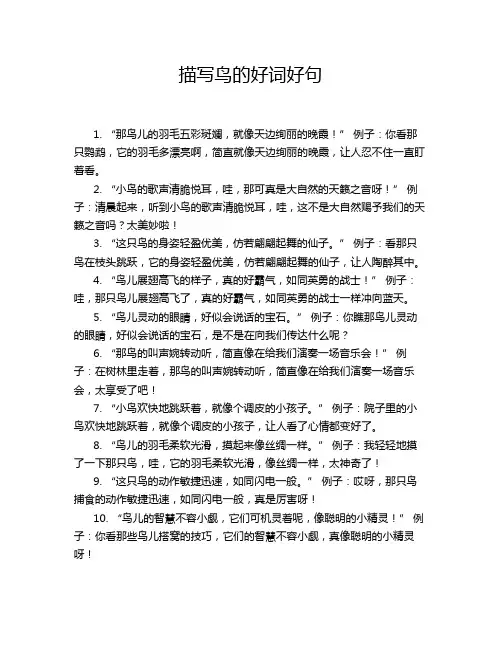 描写鸟的好词好句