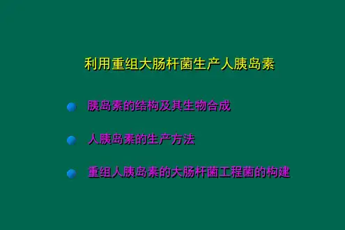 利用重组大肠杆菌生产人胰岛素