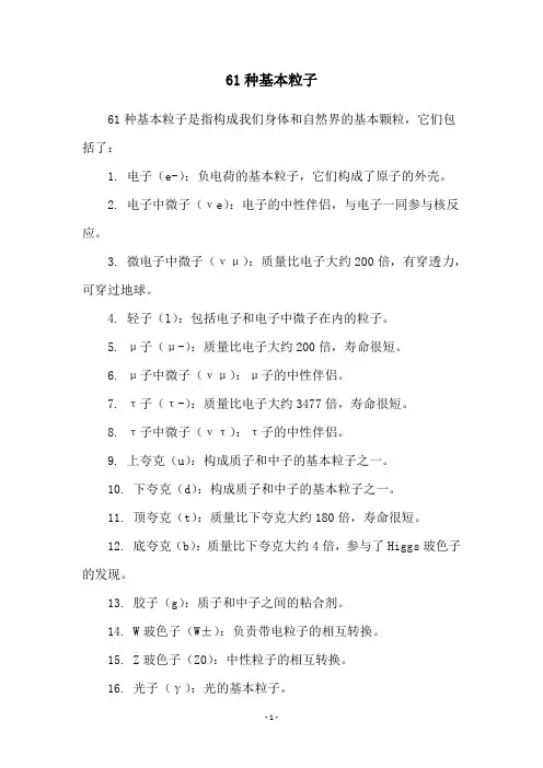 61种基本粒子