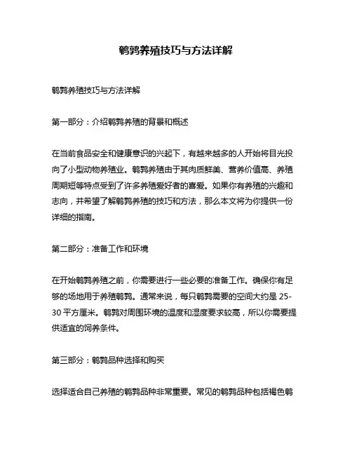 鹌鹑养殖技巧与方法详解