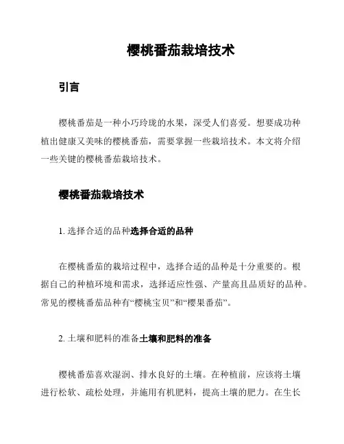 樱桃番茄栽培技术