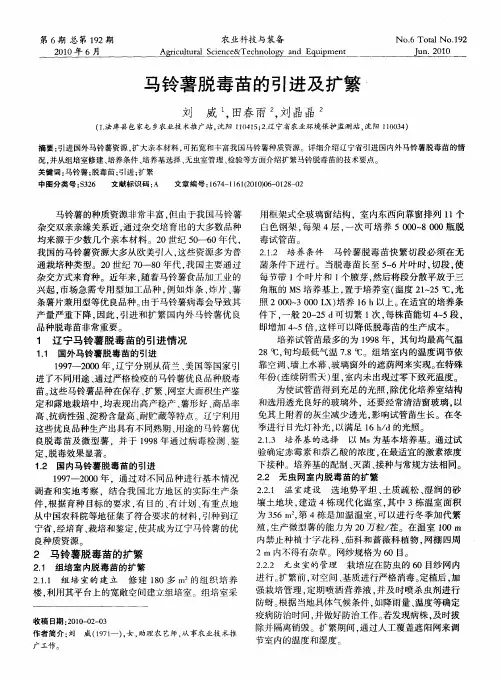 马铃薯脱毒苗的引进及扩繁