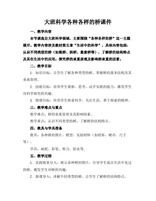 大班科学各种各样的桥课件
