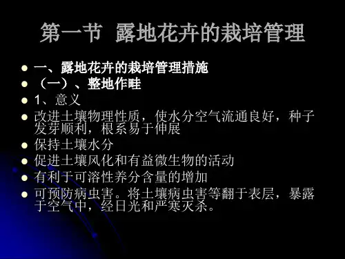 花卉的栽培露地花卉栽培课件