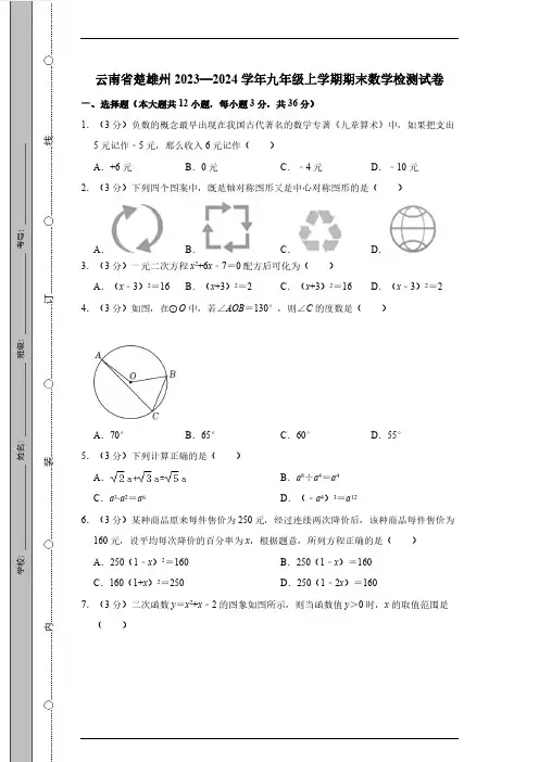 云南省楚雄州2023—2024学年九年级上学期期末数学检测试卷(有答案)