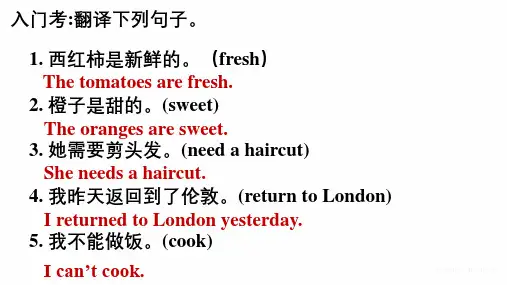 Lesson102(课件)新概念英语第一册