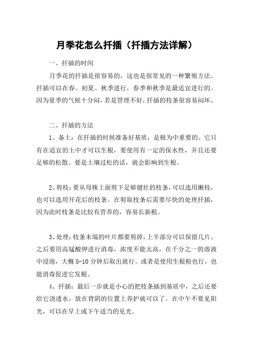 月季花怎么扦插(扦插方法详解)