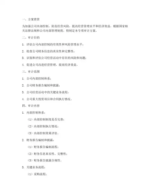 公司内审专项审计方案