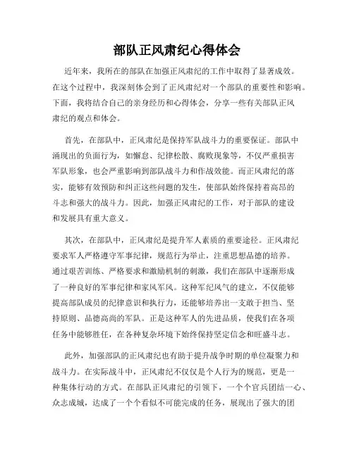部队正风肃纪心得体会