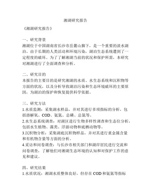 湘湖研究报告