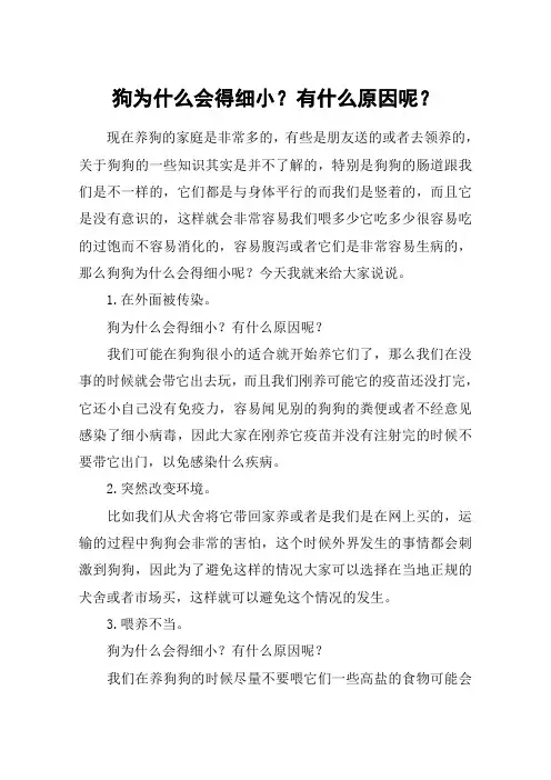 狗为什么会得细小？有什么原因呢？
