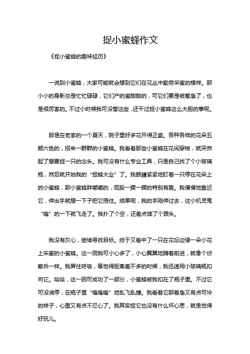 捉小蜜蜂作文